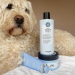 Ella-Rae Smith Instagram – Curls in check thanks to #MariaNila new Coils & Curls series 💙 #CurlsMadeEasy 
Whilst these may not be for dogs, Pippin firmly approves because all Maria Nila products are Animal Friendly, 100% Vegan and the brand itself makes conscious efforts towards sustainability. #ichoosefriendly
#Ad @marianilastockholm