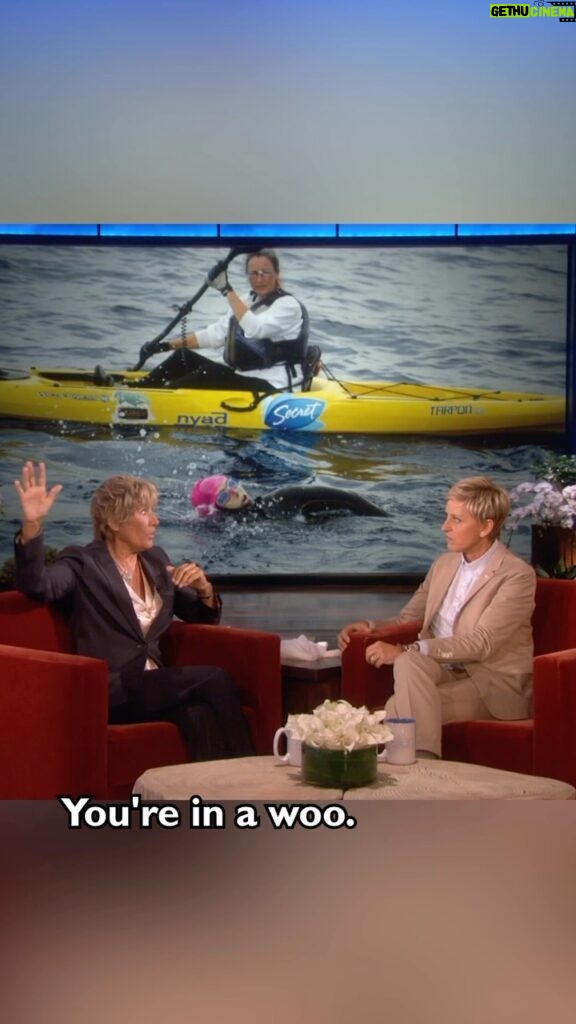Ellen DeGeneres Instagram - @diananyad talked to me after her heroic swim from Cuba to Florida.