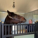 Ellen DeGeneres Instagram - Don’t worry, Portia. I can put on his halter for you. How hard could it be?