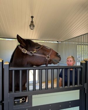 Ellen DeGeneres Instagram - Don’t worry, Portia. I can put on his halter for you. How hard could it be?