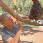 Ellen DeGeneres Instagram - We have an update to our chicken coop. Thanks again to Dare to Dream Farms for the expansion.