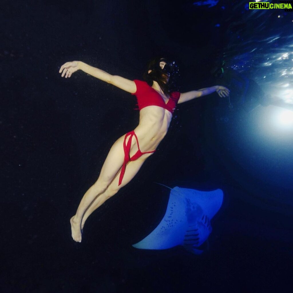 Ellen Hancock Instagram - Real life mermaid quest unlocked ✨🌊🧜🏼‍♀️ swimming with mantas (and one shark 😅) in Kona 💙 @angelinaventurellaphoto