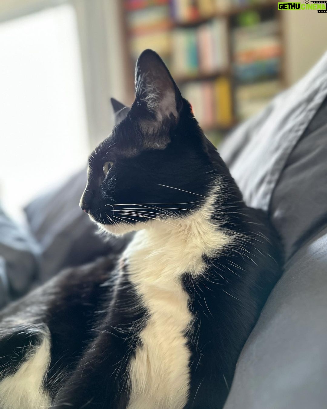 Ellen Hancock - 219 Likes - Snoop appreciation post πππ