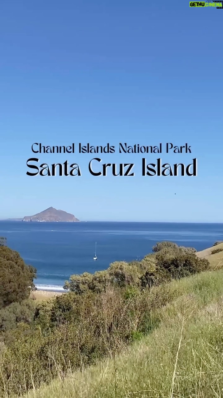 Ellen Hancock Instagram - This is your sign to visit Santa Cruz Island in Channel Islands National Park - See the full video on my YouTube channel! ✨✨✨ @nationalparkservice @channelislandsnps @islandpackers #channelislands #channelislandsnationalpark