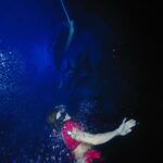 Ellen Hancock Instagram - Real life mermaid quest unlocked ✨🌊🧜🏼‍♀️ swimming with mantas (and one shark 😅) in Kona 💙 @angelinaventurellaphoto
