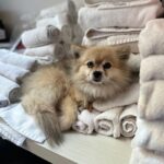 Ellen Hancock Instagram - The IG b-roll is the irl a-roll… recently… Los Feliz