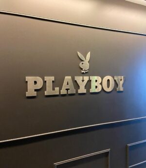 Ellen Hancock Instagram - Today was fun 💗🐰 @playboy @playboycenterfold
