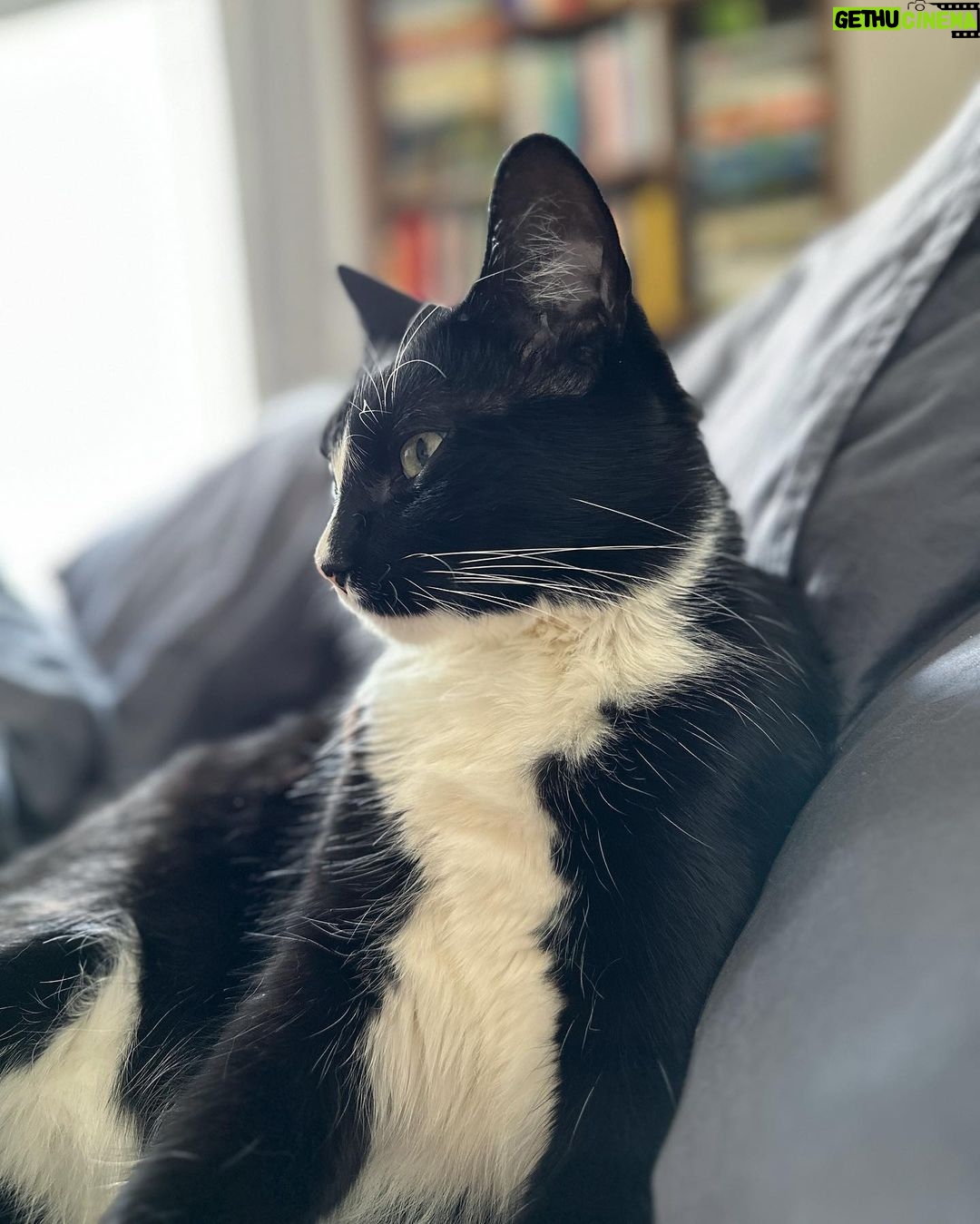 Ellen Hancock - 219 Likes - Snoop appreciation post πππ