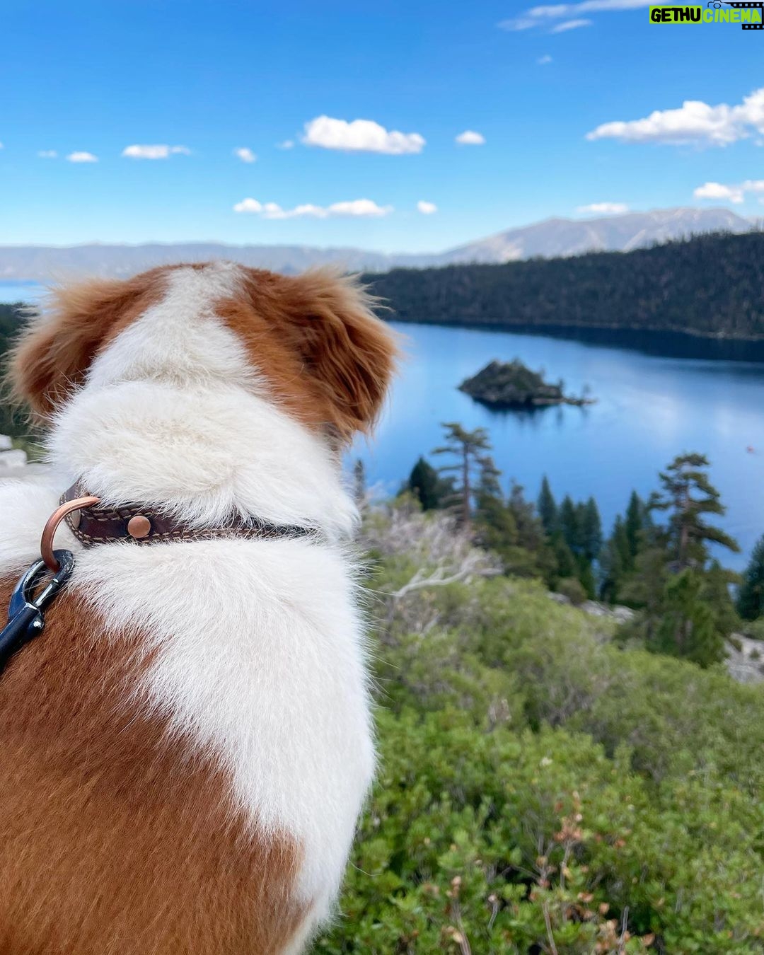 Ellen Hancock Instagram - Fallen Leaf Lake 💙 & Lake Tahoe ✨ Fallen Leaf Campground