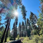 Ellen Hancock Instagram - Fallen Leaf Lake 💙 & Lake Tahoe ✨ Fallen Leaf Campground