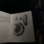 Ema Fajnorová Instagram - bits & bops