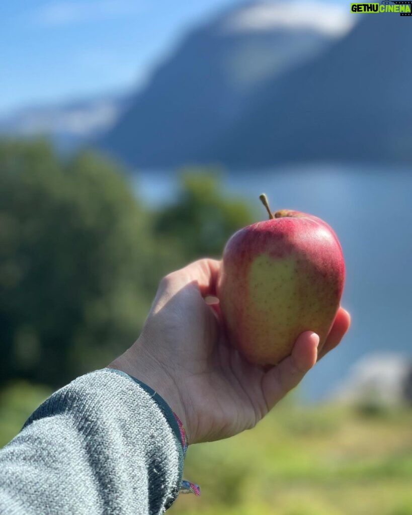 Emelie Forsberg Instagram - My favourite summer drink ➡️ @moonvalley.me apple sportdrink! So fresh with lemon and just the good amount of sugar and salt needed for a warm day or a training. We love our nordic treasures and apple is one of them. Apples are also a good source of fiber and antioxidants 💚 Have you tried it?