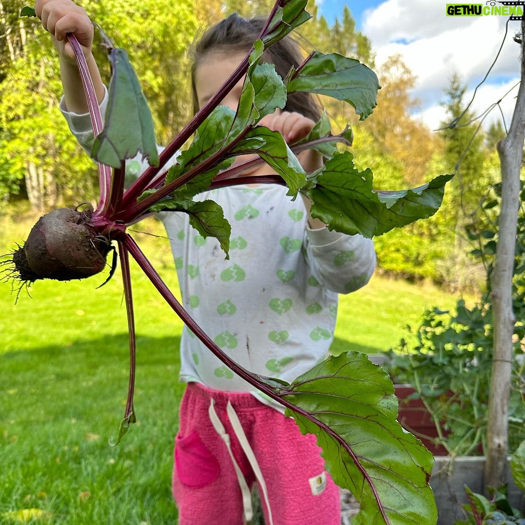 Emelie Forsberg - 11.9K Likes - Some moments from the autumn 🍂❤️
It's interesting the different energies the seasons has, and I feel like in a good balance and state of mind when I follow them.
Feeling very peaceful at the moment going with the autumn flow of training, soaking up the sun that soon will disappear and exploring new areas 💻
How is your fall? 💛🧡🤎