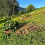 Emelie Forsberg Instagram - A week of " easy and go by the feeling" when it comes to training is so nice.. for a week 🤪 Now I'm motivated to start a good block again! I have been working on our little farm, cutting a lot of grass, prepping some veggie patches for the autumn and winter, picked up all potatoe and some wood work. I love it ❤️ Time spent walking with our girls in their own pace has been the highlights ❤️ I wish you a lovely week ahead! @thule_family #bringyourlife
