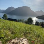 Emelie Forsberg Instagram - A week of " easy and go by the feeling" when it comes to training is so nice.. for a week 🤪 Now I'm motivated to start a good block again! I have been working on our little farm, cutting a lot of grass, prepping some veggie patches for the autumn and winter, picked up all potatoe and some wood work. I love it ❤️ Time spent walking with our girls in their own pace has been the highlights ❤️ I wish you a lovely week ahead! @thule_family #bringyourlife
