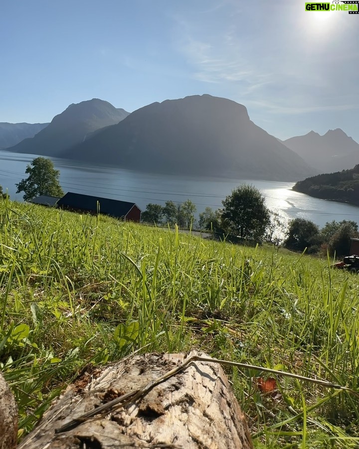 Emelie Forsberg Instagram - A week of " easy and go by the feeling" when it comes to training is so nice.. for a week 🤪 Now I'm motivated to start a good block again! I have been working on our little farm, cutting a lot of grass, prepping some veggie patches for the autumn and winter, picked up all potatoe and some wood work. I love it ❤️ Time spent walking with our girls in their own pace has been the highlights ❤️ I wish you a lovely week ahead! @thule_family #bringyourlife