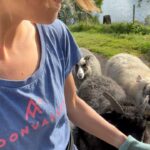 Emelie Forsberg Instagram - A week of " easy and go by the feeling" when it comes to training is so nice.. for a week 🤪 Now I'm motivated to start a good block again! I have been working on our little farm, cutting a lot of grass, prepping some veggie patches for the autumn and winter, picked up all potatoe and some wood work. I love it ❤️ Time spent walking with our girls in their own pace has been the highlights ❤️ I wish you a lovely week ahead! @thule_family #bringyourlife