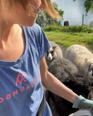 Emelie Forsberg Instagram - A week of " easy and go by the feeling" when it comes to training is so nice.. for a week 🤪
Now I'm motivated to start a good block again!
I have been working on our little farm, cutting a lot of grass, prepping some veggie patches for the autumn and winter, picked up all potatoe and some wood work. I love it ❤️
Time spent walking with our girls in their own pace has been the highlights ❤️

I wish you a lovely week ahead! 

@thule_family 
#bringyourlife