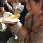 Emilia Clarke Instagram – After 3 years, 15 weeks and 85 shows, our seagull has flown the nest!
I can’t begin to describe what a life altering piece of work this has been, I am a different human than when this process began and it is with a heavy heart I wave goodbye to my Nina and my cast, it has been the greatest privilege to share a stage and a world with them all. Truly unforgettable. To everyone who came to watch, thank you, thank you, thank you, you made a theatre girls dream come true ❤️
#yesthatsaseagullcake
#yesitsbiggerthanme
#yesweateitall
#canigotosleepnow?
#noseagullswereharmedintheewtingofthiscake Harold Pinter Theater,London City