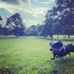 Emilia Clarke Instagram – Whilst I got to attend the SUBLIME @alexandermcqueen show this week (dress me everyday would ya?) 
Ted was doing this… worried? Me?! Well slightly. I’m praying he was rushing to someone’s aid rather than someone’s sandwich. 

Big up to my team of magicians @earlsimms2 @naokoscintu @petraflannery @chloebeeneystyling 🤩😍🥳❤️ 
#motherandsonlivingtheirbestlives? 
#❤️ #😎