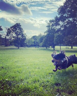 Emilia Clarke Instagram - Whilst I got to attend the SUBLIME @alexandermcqueen show this week (dress me everyday would ya?) 
Ted was doing this… worried? Me?! Well slightly. I’m praying he was rushing to someone’s aid rather than someone’s sandwich. 

Big up to my team of magicians @earlsimms2 @naokoscintu @petraflannery @chloebeeneystyling 🤩😍🥳❤️ 
#motherandsonlivingtheirbestlives? 
#❤️ #😎