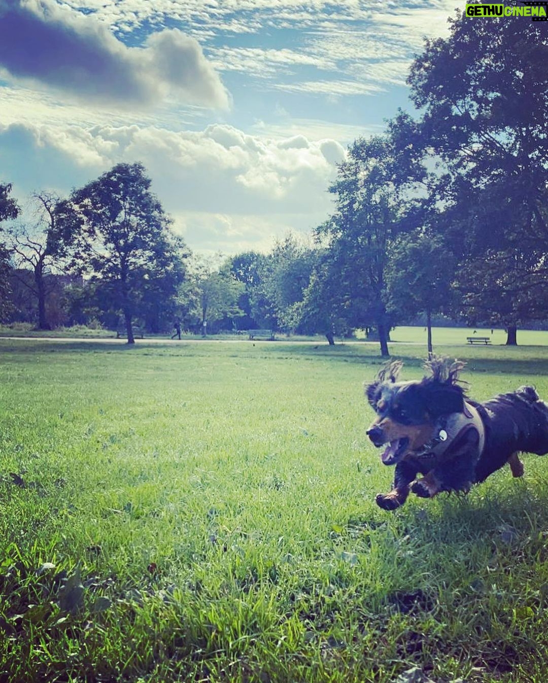 Emilia Clarke - 2.5 Million Likes - Whilst I got to attend the SUBLIME @alexandermcqueen show this week (dress me everyday would ya?)
Ted was doing this… worried? Me?! Well slightly. I’m praying he was rushing to someone’s aid rather than someone’s sandwich.
Big up to my team of magicians @earlsimms2 @naokoscintu @petraflannery @chloebeeneystyling 🤩😍🥳❤️
#motherandsonlivingtheirbestlives?
#❤️ #😎