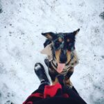 Emilia Clarke Instagram - WHADDAY MEEEAN?!!! LIFE IS SWEET!!! LESSS GOOO!!!! #ohtobeadog #originalcreatorofyellowsnow #🥳 #😍