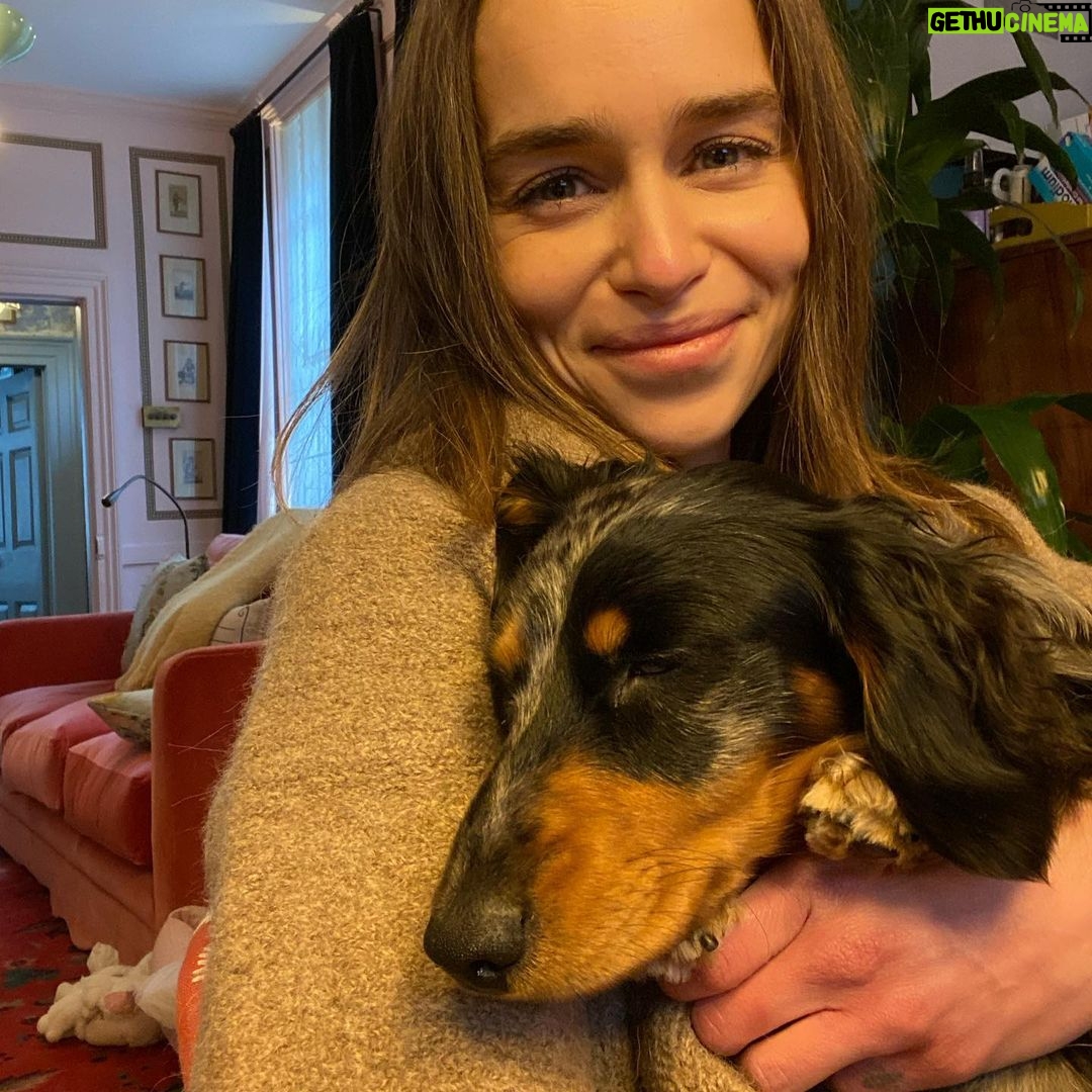 Emilia Clarke - 2.3 Million Likes - One day in the not too distant future there will be something to post that isn’t just the bliss that is wrapped up in my arms, but for today? Ted, you’ll have to do...😍
#lockdownlovers
#sendinglovetoanyonewhoseinneedofalittleextra
#thelightattheendofthetunneliscoming #❤️