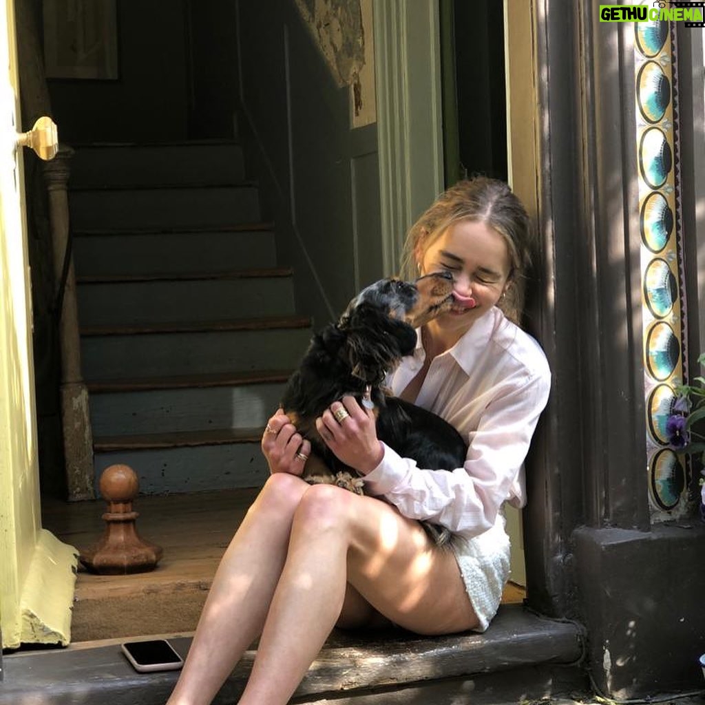 Emilia Clarke Instagram - My vain attempts to master an idyllic ted photo op… saliva means love in our relationship 😂🥰😎 #apparentlymynosetastesgooood #tedofmylifeforlife #❤️ #🐶