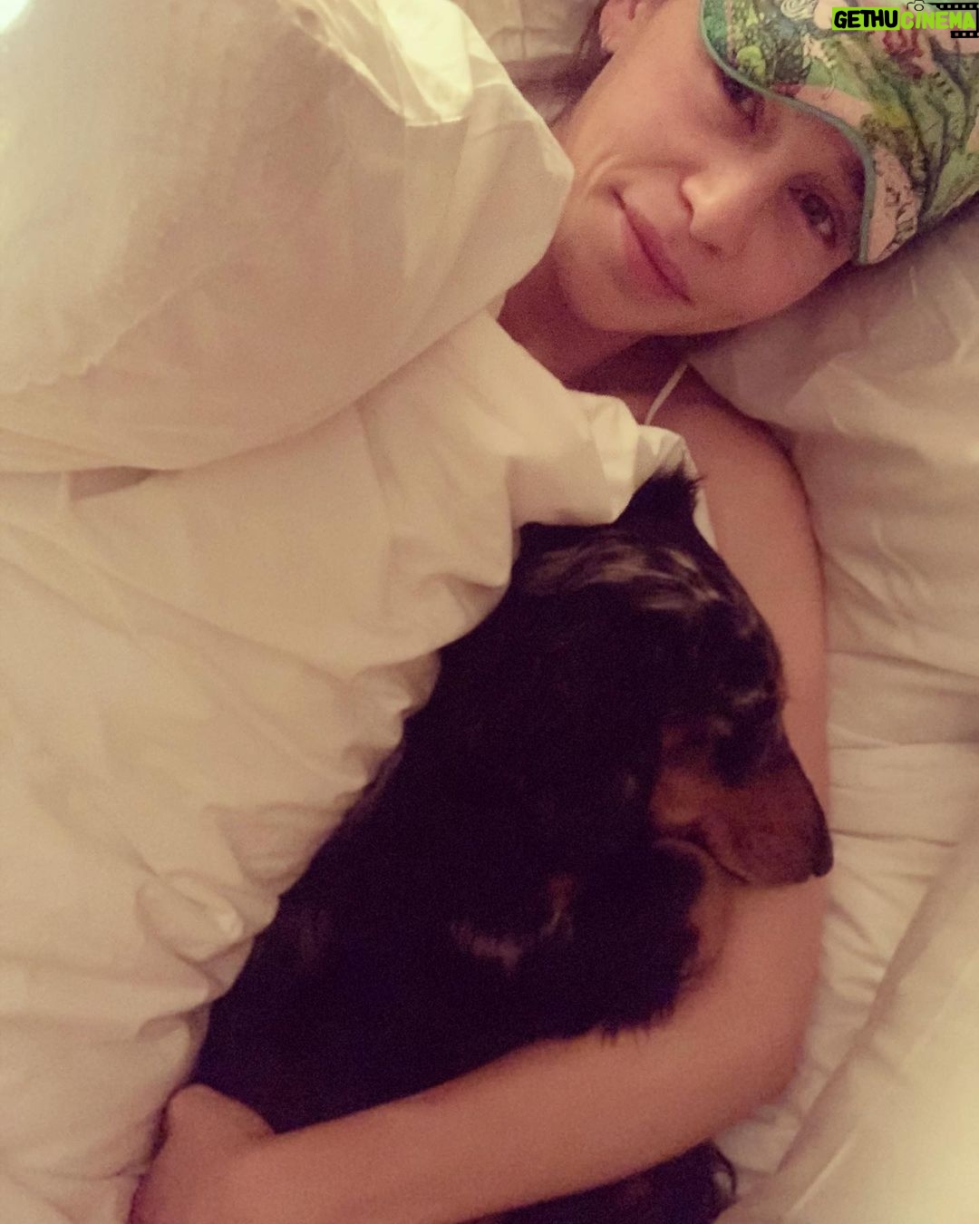 Emilia Clarke - 2.3 Million Likes - The only thing this pup can’t do is make me breakfast in bed.
#🐶
#❤️
#bringyourownpup
#inmyheadthelittlespoon