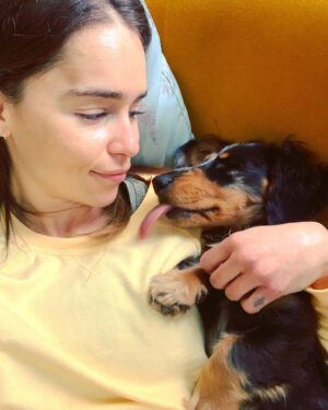 Emilia Clarke Instagram - The 3 stages of Ted’s love language. Licking is introduced at a distance. Zero understanding of human kiss. Screw it gimme your face. 
#sleepeatrepeat #🥰 #🕺