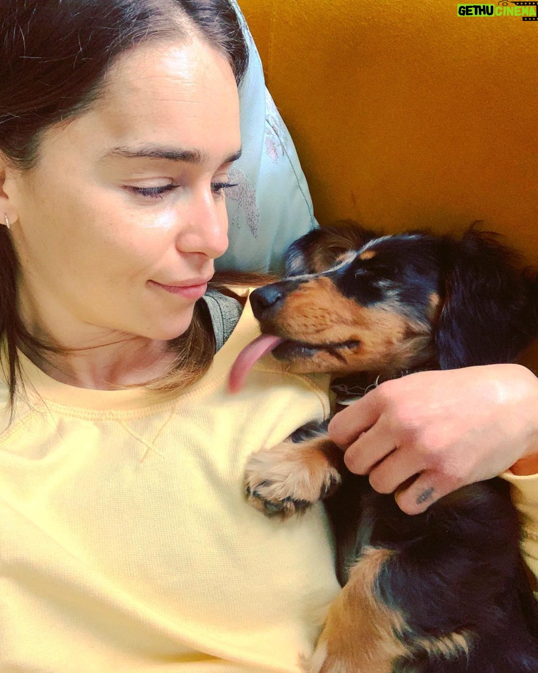 Emilia Clarke - 2.7 Million Likes - The 3 stages of Ted’s love language. Licking is introduced at a distance. Zero understanding of human kiss. Screw it gimme your face.
#sleepeatrepeat #🥰 #🕺