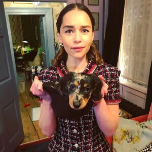 Emilia Clarke Instagram - My puppy fits INTO A HAT. 
Job done. 
He didn’t accompany me to the @chanelofficial Charles Finch dinner but....he would’ve fit right in. 
To my hat. (And my champagne glass) 
#❤️ #👏 #tedtakesonthetown 
@kateleemakeup @earlsimms2 @chloebeeneystyling @petraflannery thank you for coming round to watch  Ted eat all your equipment and, as a side note, painting me a dream @chanelofficial picture... ❤️