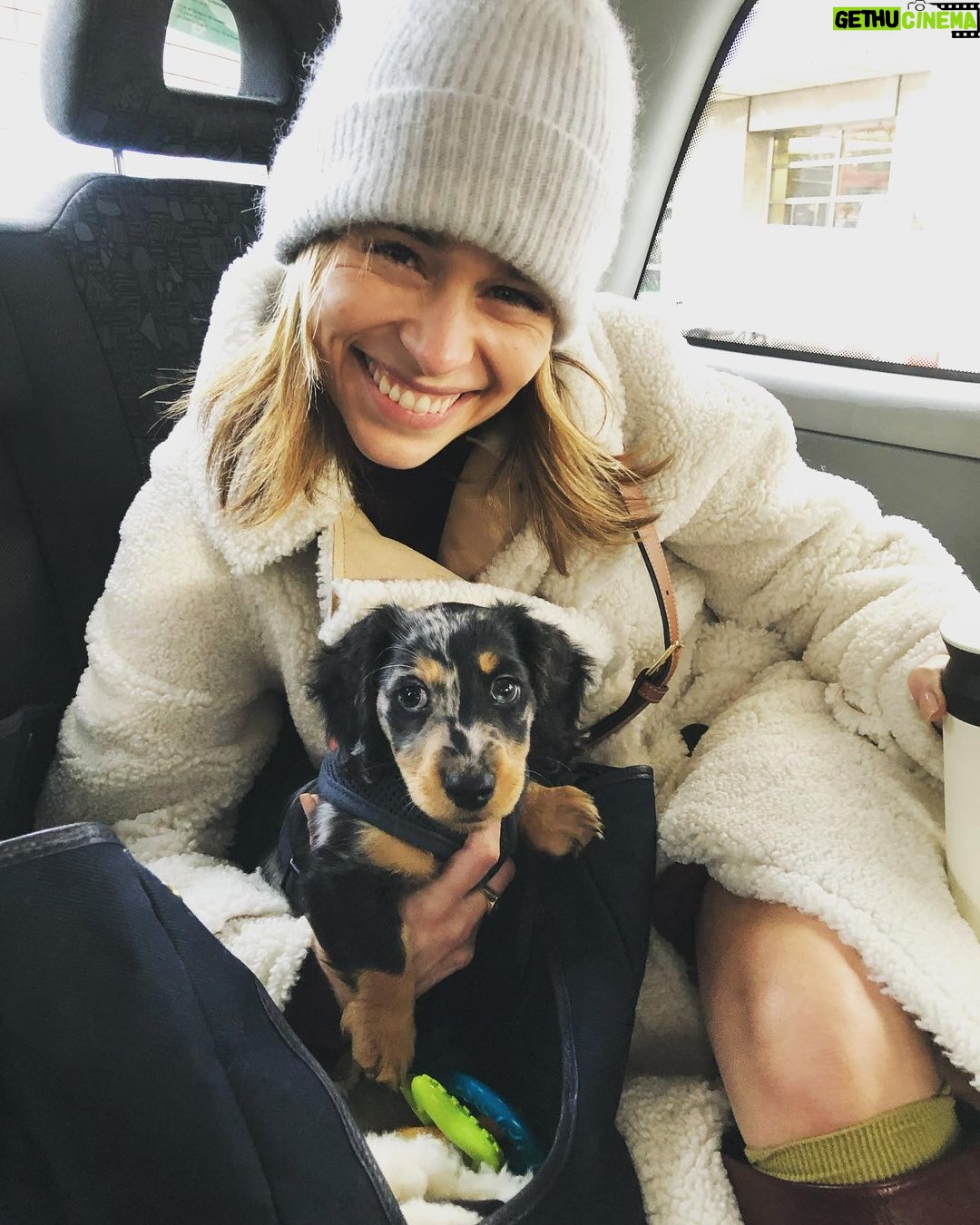 Emilia Clarke - 2.2 Million Likes - Let the true love continue... taxi style.
#readyforanythingevenaChanelfitting
#myentirefeedwillnowfeatureandmentionteddingtonclarke #sorrynotsorry
#🐶❤️