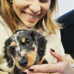 Emilia Clarke Instagram - He just can’t stop. He physically.cannot.stop being the MOST BEAUTIFUL PUPPY IN THE ENTIRE WORLD. 😎 Erryone meet Ted. Super Ted. My new main squeeze. Light of my goddamn life. Ready to fill this instagram feed to bursting whilst still being able to leave room in a teacup. #goodbyesleepgoodbyecarpetsgoodbyeslippershellopoop #coshesworthit #🥰 #❤️#🕺 #🐶