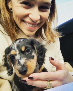 Emilia Clarke Instagram - He just can’t stop. He physically.cannot.stop being the MOST BEAUTIFUL PUPPY IN THE ENTIRE WORLD. 😎
Erryone meet Ted. Super Ted. My new main squeeze. Light of my goddamn life. Ready to fill this instagram feed to bursting whilst still being able to leave room in a teacup. 
#goodbyesleepgoodbyecarpetsgoodbyeslippershellopoop 
#coshesworthit 
#🥰 #❤️#🕺 #🐶