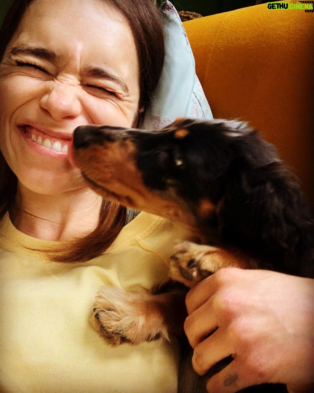 Emilia Clarke - 2.7 Million Likes - The 3 stages of Ted’s love language. Licking is introduced at a distance. Zero understanding of human kiss. Screw it gimme your face.
#sleepeatrepeat #🥰 #🕺