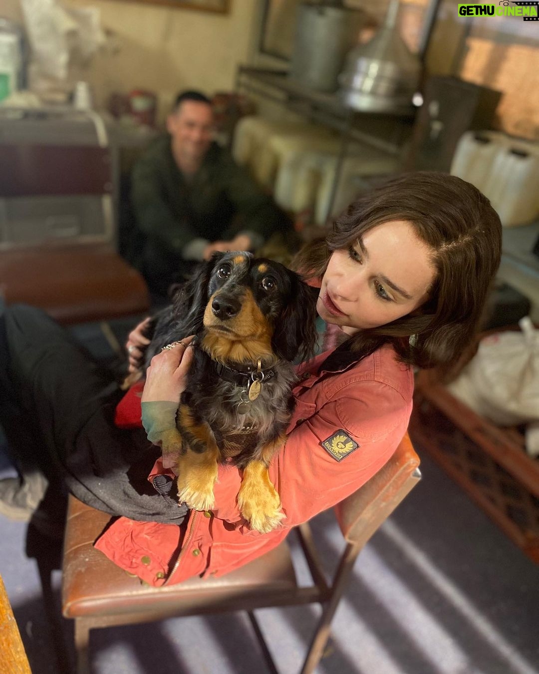 Emilia Clarke Instagram - My boy looks like an angel, but in his desperate need to be on camera, he nearly destroyed a set. And then shat on it. 😇 #yesadogisthelasthinganADwantstoseeontheirset #sorryfortheovertimelads #unconditionalloveispickingupdogpoooncamera @marvelstudios