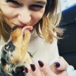 Emilia Clarke Instagram - He just can’t stop. He physically.cannot.stop being the MOST BEAUTIFUL PUPPY IN THE ENTIRE WORLD. 😎 Erryone meet Ted. Super Ted. My new main squeeze. Light of my goddamn life. Ready to fill this instagram feed to bursting whilst still being able to leave room in a teacup. #goodbyesleepgoodbyecarpetsgoodbyeslippershellopoop #coshesworthit #🥰 #❤️#🕺 #🐶