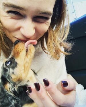 Emilia Clarke Instagram - He just can’t stop. He physically.cannot.stop being the MOST BEAUTIFUL PUPPY IN THE ENTIRE WORLD. 😎
Erryone meet Ted. Super Ted. My new main squeeze. Light of my goddamn life. Ready to fill this instagram feed to bursting whilst still being able to leave room in a teacup. 
#goodbyesleepgoodbyecarpetsgoodbyeslippershellopoop 
#coshesworthit 
#🥰 #❤️#🕺 #🐶