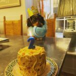 Emilia Clarke Instagram – Yes. I am now THIS lady. Baking ain’t just for humans. 

I mean LOOK AT HIM! 😍😂💪🏻 #teddyturnstwo #spoilt?! #onlygettingwhatmylittlemandeswrves #❤️ #🐶