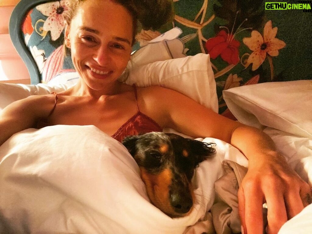 Emilia Clarke Instagram - For the first time in my life I am the big spoon. #thankgodhedoesntpisswherehesleeps #😂 #😍