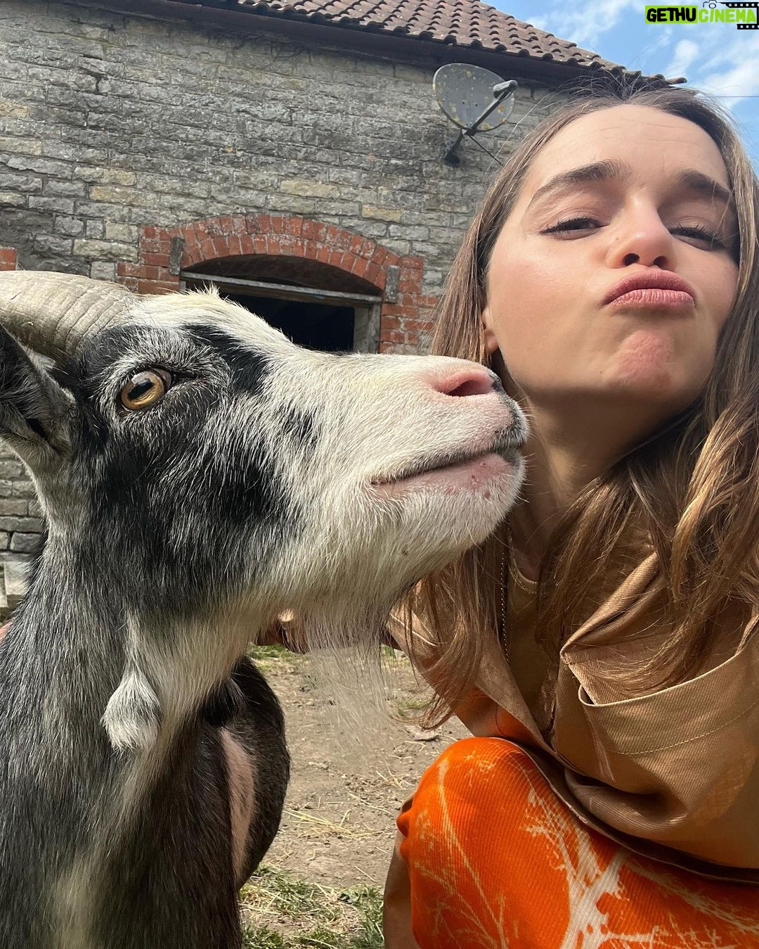Emilia Clarke Instagram - 🚨!!!GLASTONBURRRRRRYYYYY!!!🚨 You don’t walk you dance, you discover the healing powers of tequila and realise that 3 hours sleep is all anyone needs to get up and continue raving, aka where bad decisions turn into the best decisions you’ve ever made all while watching acts do the best gigs of their life… #glastonbury2023 thank you for giving this gal her groove (and youth) back whilst simultaneously stealing her vocal chords 🤩🙌👏 #inowdontspeakisqueak #myliamgallaghertributebandlookismynewhotgirlsummer #ohitsgreatwhenyoufindyoursoulmateisagoat #🐐