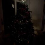 Emily Ratajkowski Instagram - some things change others stay the same 🎄