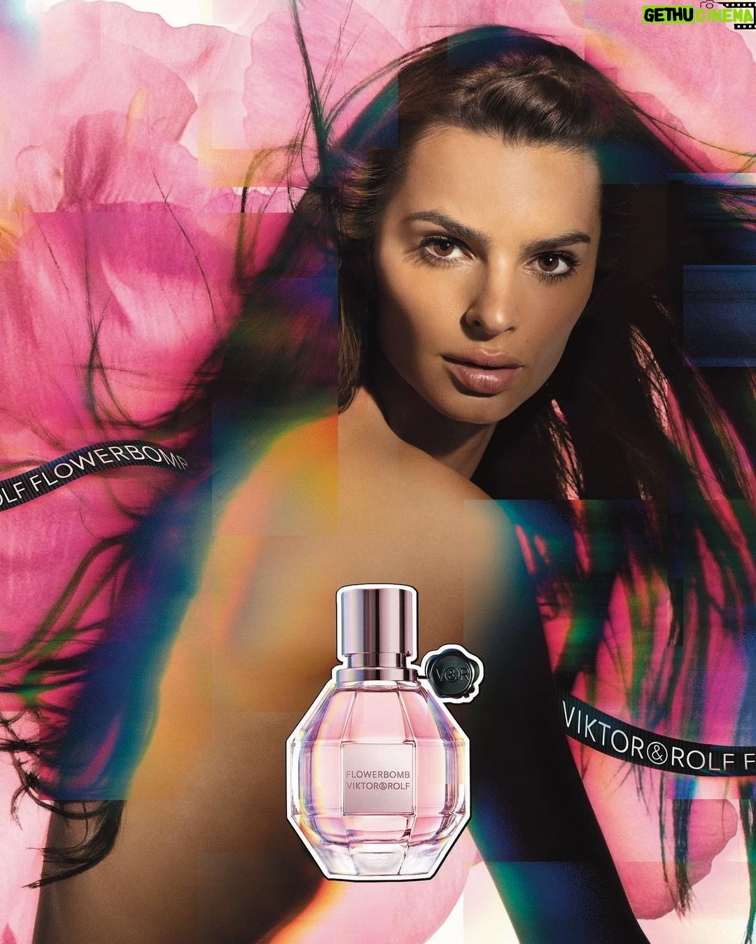 Emily Ratajkowski Instagram - The new era of Flowerbomb is here! Honored to be the face of this iconic fragrance. Thank you! @viktorandrolf @viktorandrolf_fragrances #ViktorandRolf #ViktorandRolfFragrances #Flowerbomb Photography by @inezandvinoodh Make-up by @lisabutlermua Hair by @jamespecis Post Production by @stereohorseinc