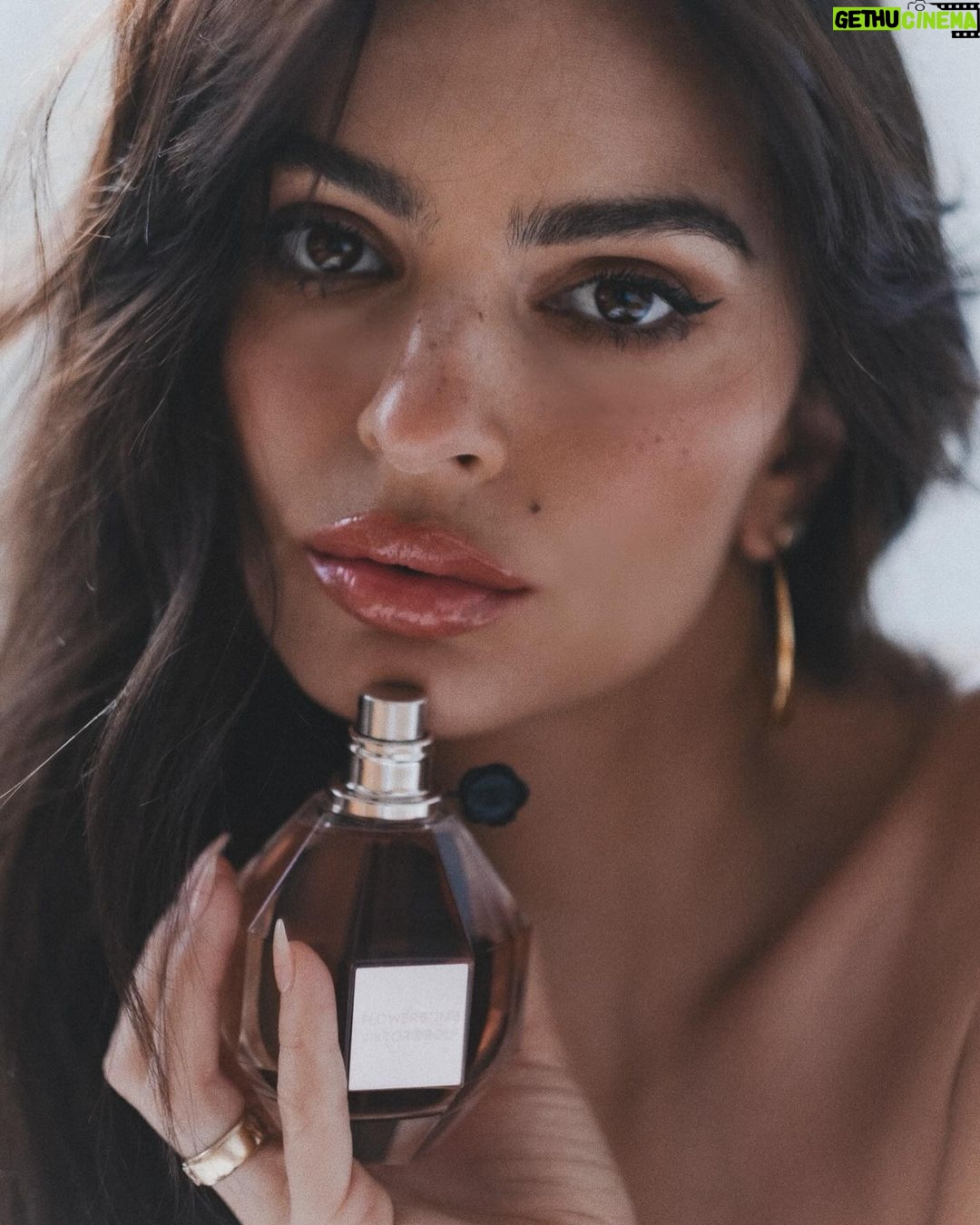 Emily Ratajkowski Instagram - @viktorandrolf_fragrances #Flowerbomb #viktorandrolffragrancespartner