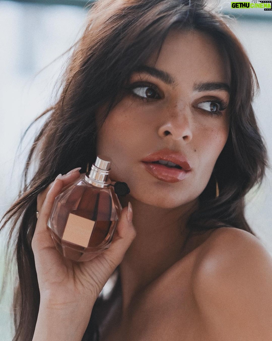 Emily Ratajkowski Instagram - @viktorandrolf_fragrances #Flowerbomb #viktorandrolffragrancespartner