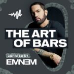 Eminem Instagram - Bro Wayne just said “got a bunch of zeros like a bag of new funyuns!!” FUCK why didn’t I think of that???? Speakin of bars… im takin over 4 @audiomack’s art of bars playlist nxt month - hit the link in bio to submit and im adding whoevers got the best bars!