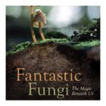Emma Watson Instagram - Mushrooms ARE magic!!! ✨✨✨🍄🍄🍄 Check out this incredible documentary @fantasticfungi on Netflix and prepare to have your mind blown! 🤯 #fantasticfunginetflix #fantasticfungi #foraging #mushroomforaging #mycologyclub #fungilove #forestfloor #mushroomspotting