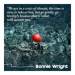 Emma Watson Instagram - What a special joy it is to share that my friend and sister @thisisbwright has written a book titled "Go Gently" that is available for pre-order NOW! It is an encouraging and inspiring read on how to further your journey in today's climate movement. And you can order now as a special holiday treat to yourself 🎁 Swipe to get a sneak peak at some of her tips!!! 🤍 Bonnie's book will be published on April 19th 2022. It is currently available for pre-order, and the retailer links can be found on her website gogently.earth Her website will ALSO become a platform where lots of guest writers within the climate movement will be sharing essays, journalism and practical ideas. Further information can be found on the 'About' section on the website. ❤️📚 @thisisbwright @gogently.earth book cover photographed by @kacie__tomita